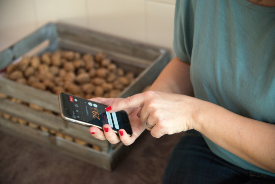 CH_1809_Baldingen_Schibli_0156