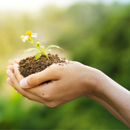 Енергийна ефективност и устойчивост